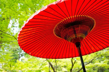 Geleneksel Japon kırmızı şemsiye 