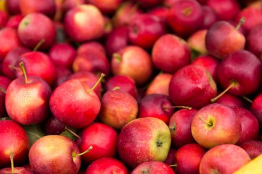 Kırmızı elma doku kadar kapatın