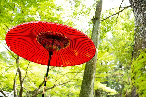赤い和傘 — ストック写真