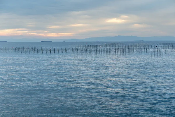 Fiske gård i havet kusten — Stockfoto