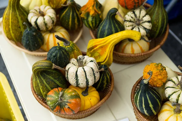 Citrouilles d'automne dans des paniers — Photo