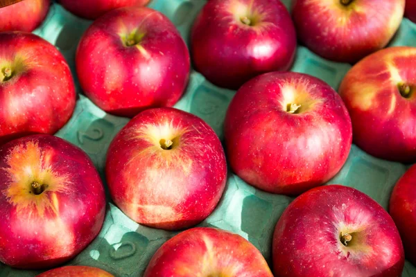 Red apples in pack — Stock Photo, Image