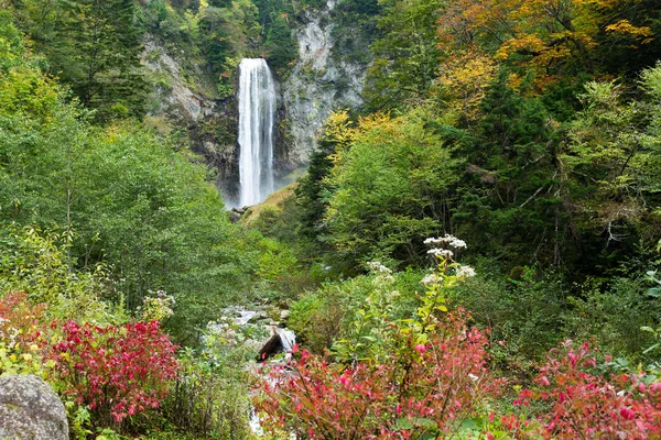 Japon ormandaki şelale çağlayan — Stok fotoğraf