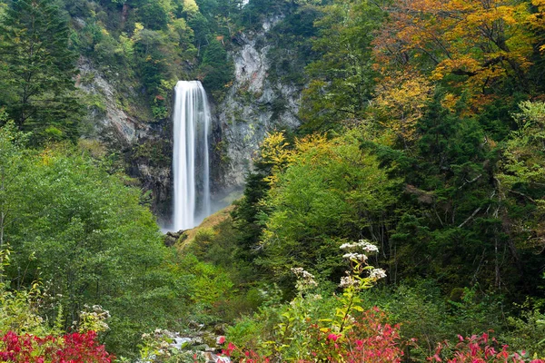 Водоспад у японських осінній ліс — стокове фото