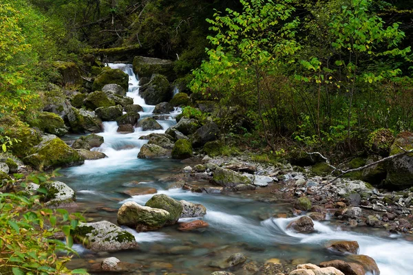 Каскад водоспаду в лісі — стокове фото