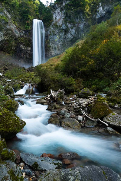 Тече водоспад у японських ліс — стокове фото