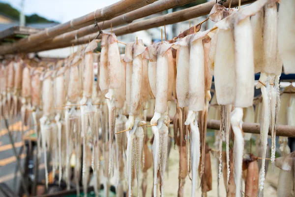 Torkad bläckfisk hängande på stativet — Stockfoto