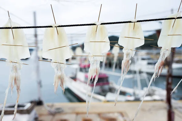 Calamares secos colgantes a lo largo del mar — Foto de Stock