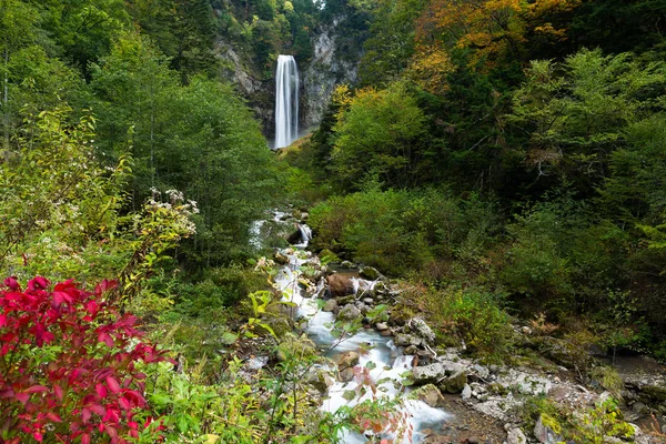 Водоспад у красивому зеленому лісі — стокове фото