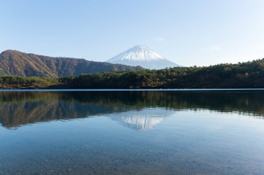 MT Fuji Saiko göl kenarında yansıması ile