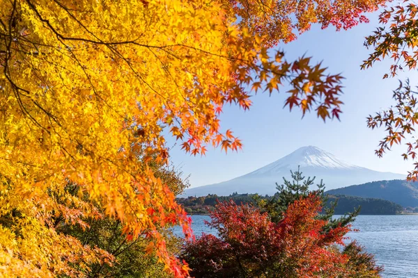 Mt.Fuji őszén a Kawaguchiko-tó partjától — Stock Fotó