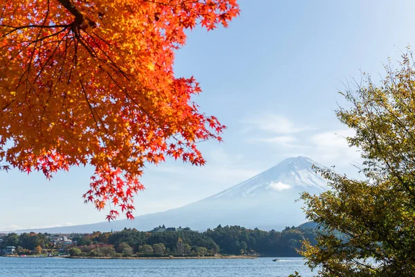 Fuji de montanha com árvores de bordo — Fotografia de Stock