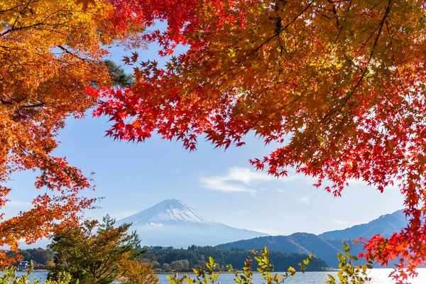 Fuji de montagne aux érables — Photo