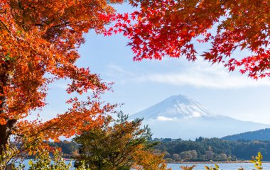 mt. fuji ve sonbahar yaprakları, göl kawaguchi