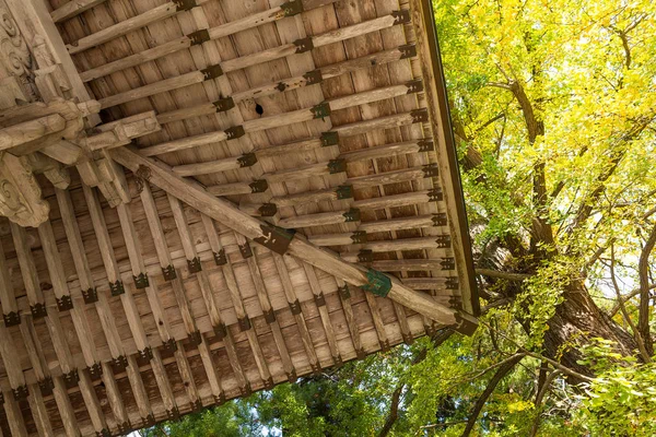 伝統的な日本のお寺とツリー — ストック写真