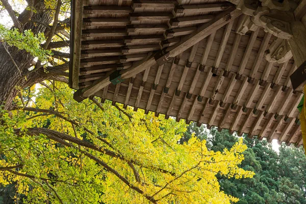 전통적인 일본 사원과 나무 — 스톡 사진