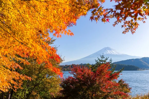 Mt. Fuji in autumn season — Stock Photo, Image