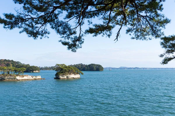 Isola nella baia di Matsushima, Giappone — Foto Stock