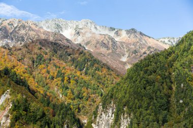 Daikanbo ve Tateyama Kurobe Alp rota