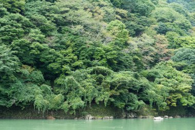 Lake Arashiyama orman