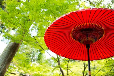 Geleneksel Japon kırmızı şemsiye 