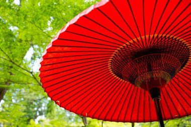 Geleneksel Japon kırmızı şemsiye 