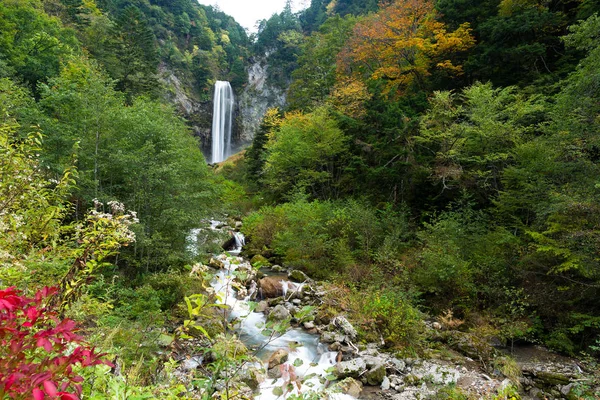 Каскад водоспади в лісі, японська — стокове фото