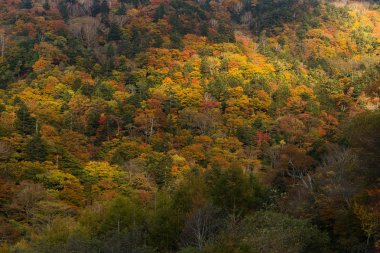 Sonbahar sezonu dağ