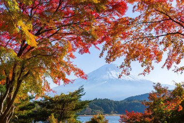 Sonbahar sezonu Fuji Dağı