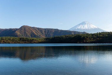Fuji Dağı ve Saiko Gölü