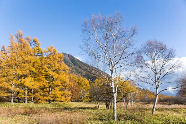 Beau paysage à Nikko — Photo