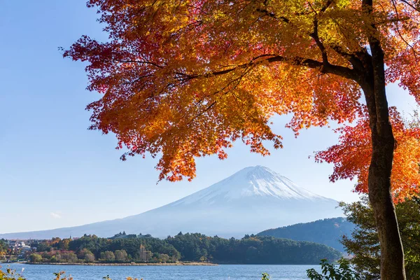 Mount Fuji-őszi szezonban — Stock Fotó