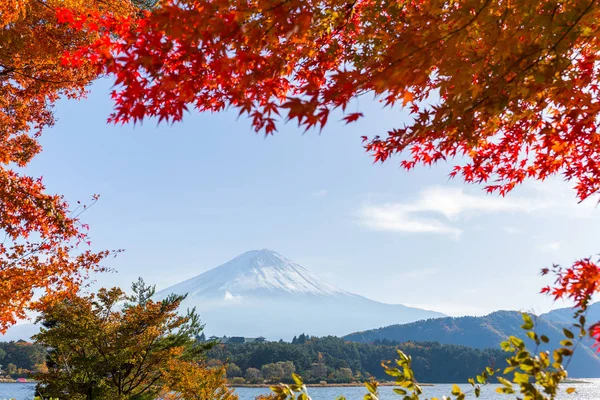 Maple trees and mountain Fuji — Stock Photo, Image