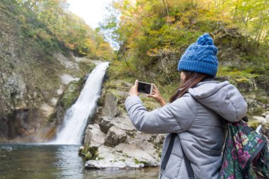 Kadın alarak fotoğraf ormandaki cellphone tarafından