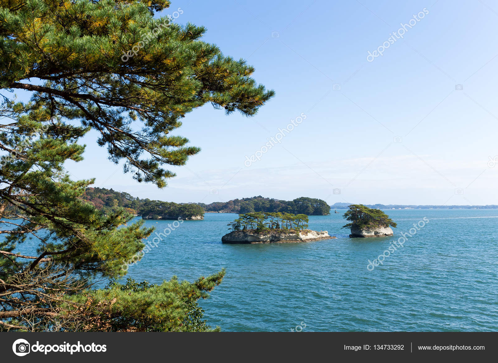 Pine trees on Matsushima Island Stock Photo by ©leungchopan 134733292