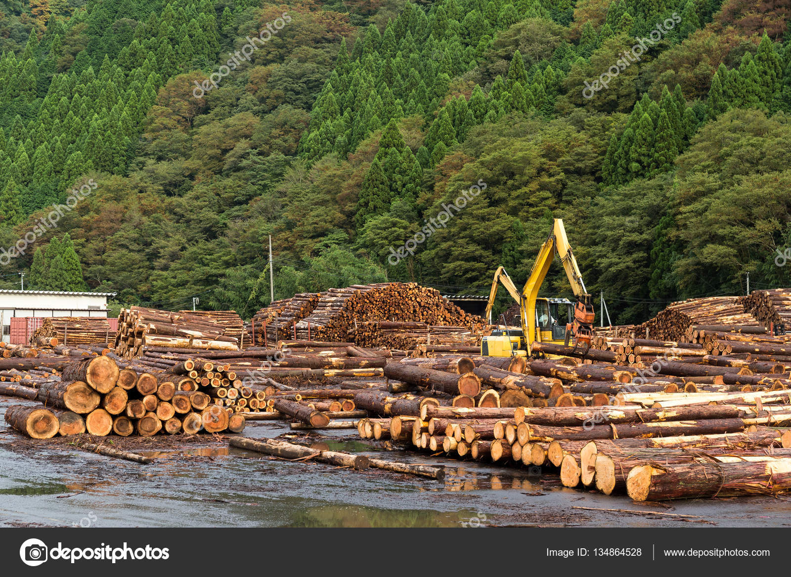 Timber industry on river near forest Stock Photo by ©leungchopan 134864528