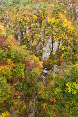 Sonbahar sezonu kanyonda değil
