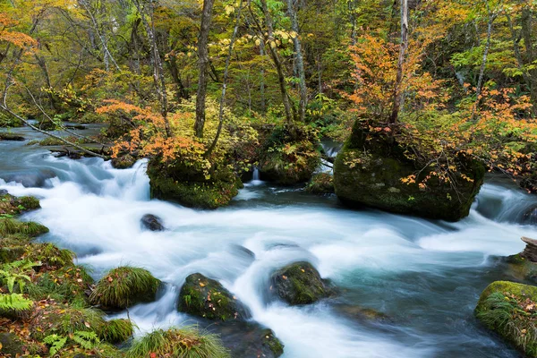 Oirase потік восени — стокове фото