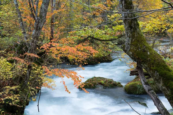 Sonbahar Oirase Stream — Stok fotoğraf