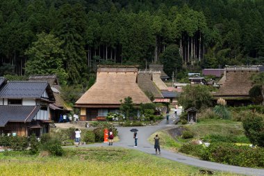 Tarihi köy Miyama