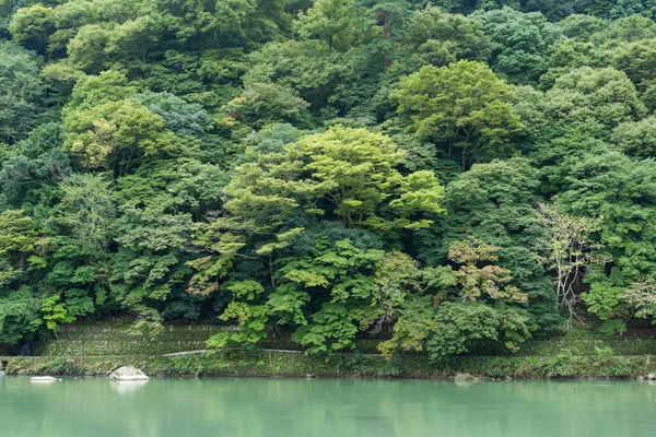 Sjön i Arashiyama skog — Stockfoto