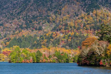 Güzel göl ve orman dağlarında
