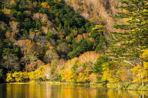 Yunoko lake in Japan — Stock Photo, Image