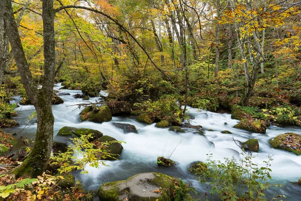 Oirase Bach im Herbst — Stockfoto