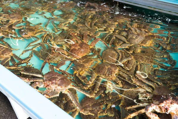 Crab proaspăt pe piața de pește — Fotografie, imagine de stoc