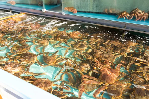 Crabi proaspeți pe piață — Fotografie, imagine de stoc