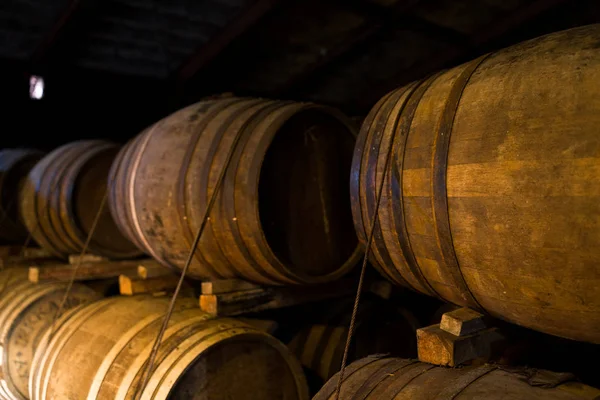 Fából készült sör hordók a pincében — Stock Fotó