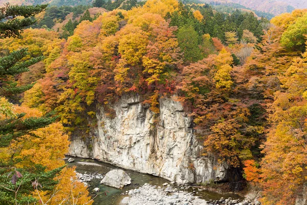 Autumn landscape in Kinugawa — Stock Photo, Image