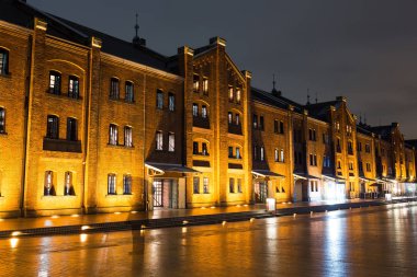 Japonya'da şehir manzarası, gece