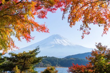Sonbahar sezonu ve fuji Dağı